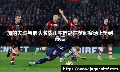 加的夫城与狼队激战正酣谁能在英超赛场上笑到最后